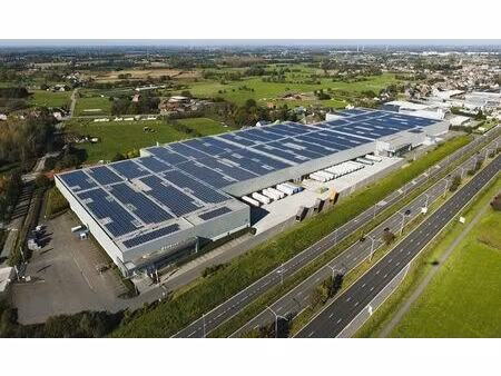 entrepôt logistique à louer à puurs