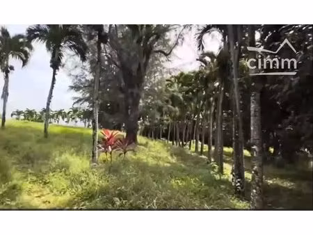 a vendre propriete deux batiments 8 pieces 304 26m² terrain 6595m²