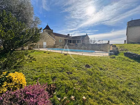 magnifique propriété en pierre avec piscine  dépendances et vue imprenable