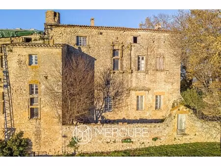 beau chateau medieval dans un village