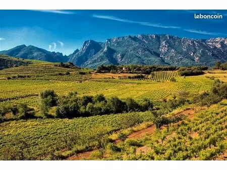 terrain 3 629 m² saint chinian