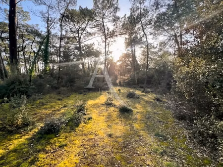 terrain saint jean de monts 5 117 m²