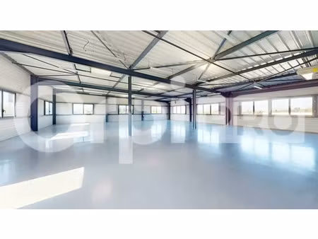 local d'activite a louer