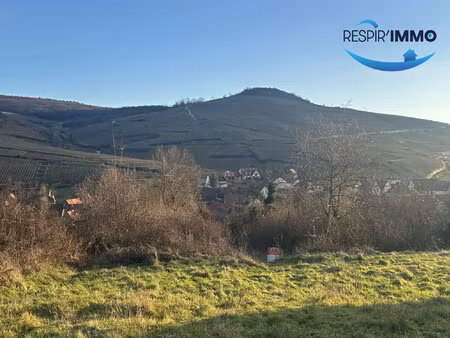 f3 àdécouvrir sur le shauteurs de soutzmatt