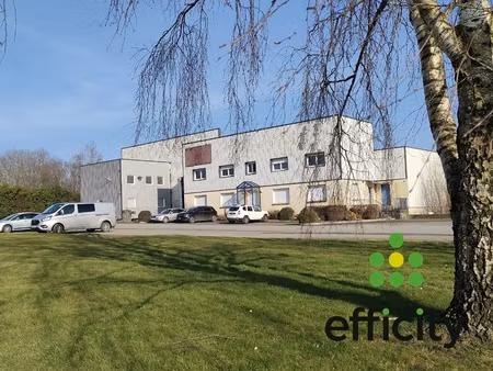 local commercial 30 pièces - 11250 m²