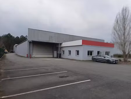 local artisanal saucats