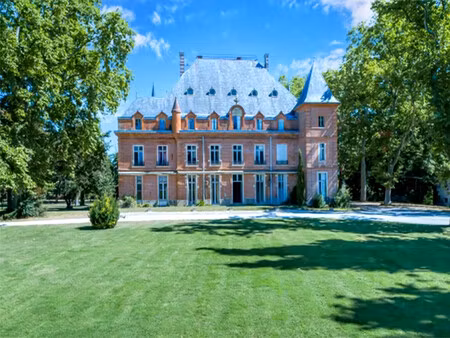 chateau à vendre à grenade (31330) - haute-garonne