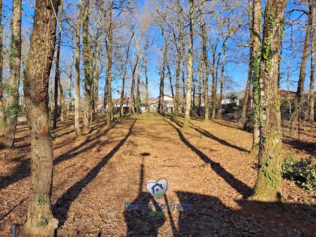 vente terrain 970 m² à audenge (33980)  285 000 €
