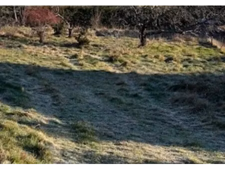 vente terrain 1484 m² à davézieux (07430)  160 000 €