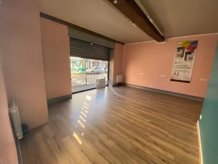 vente locaux professionnels 356 m² à saint-laurent-sur-saône (01750)  650 000 €