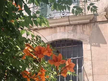 location meublée maison 10 pièces 380 m² à pignans (83790)  970 €