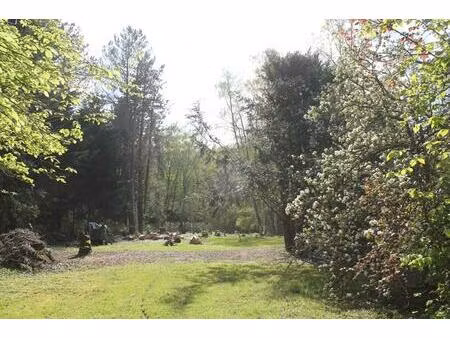 terrain st forget 4 646 m2