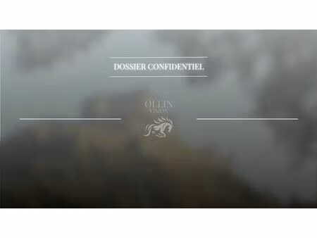 prestigieux château de 1200 m2 en vente - agen  france