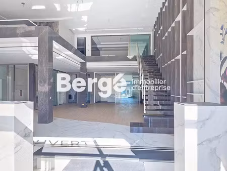 immobilier professionnel à louer mandelieu-la-napoule