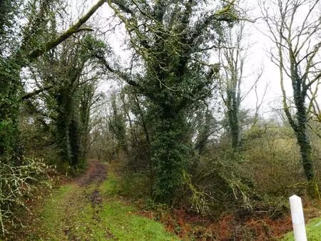 vente terrain 13922 m² saint-tugdual (56540)