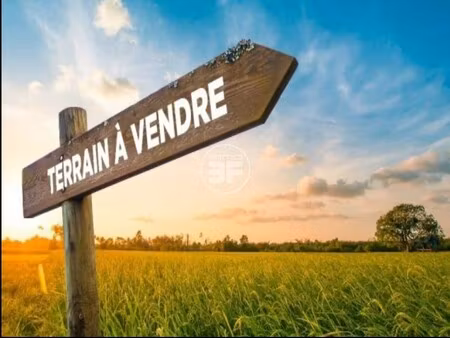 vente terrain