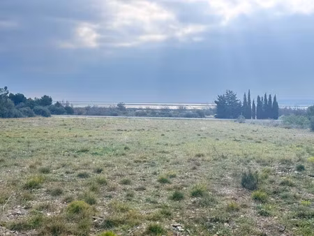 vente terrain 5410 m² à la palme (11480)  162 000 €