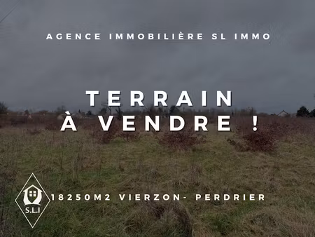 vente terrain 18250 m² à vierzon (18100)  190 000 €