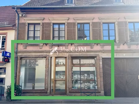 vente locaux professionnels 46 m² à hochfelden (67270)  99 900 €