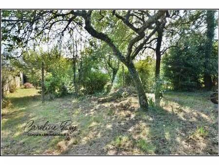 vente terrain à clisson (44190) : à vendre / clisson