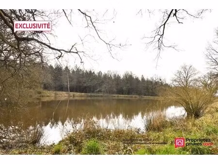 en vente terrain constructible 115 56 ares – 39 000 € |la plaine