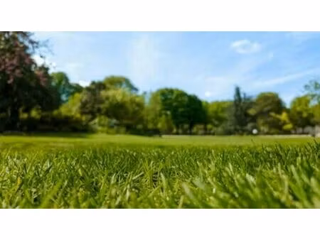 location terrain merignac 400 m²