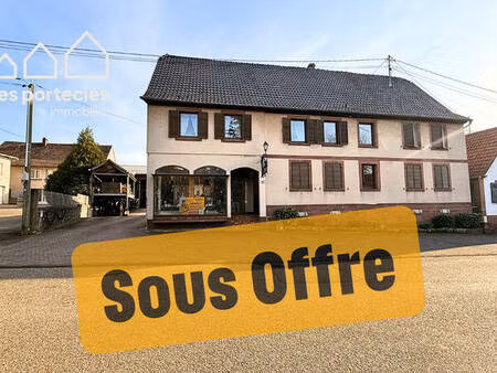 immeuble mixte 320 m² sur 17 ares de terrain