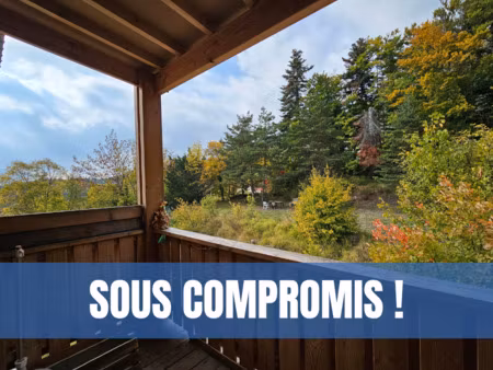 thorenc : appartement 2 pièces en duplex