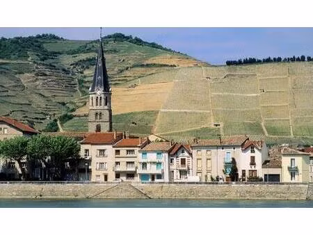 à vendre – terrain à bâtir 568 m² libre de constructeur dans un cadre verdoyant