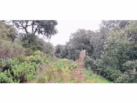 vente terrain  16900.00m²  faugères