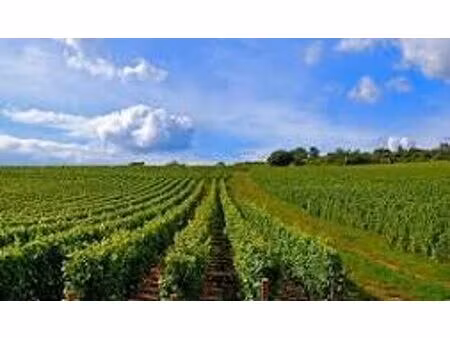 vente terrain vandières 51700 - 608900 € - surface privée