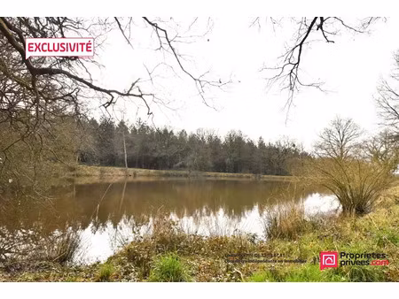 vente terrain 11556 m² à la plaine (49360)  39 000 €