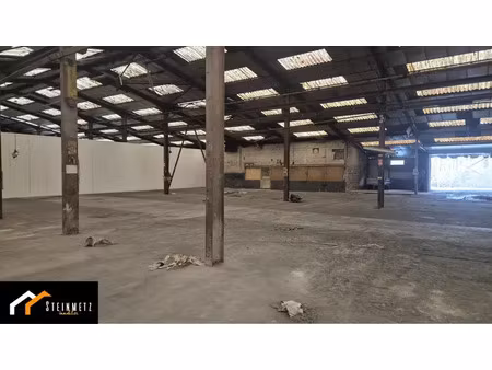 local d'activité à louer - sarreguemines