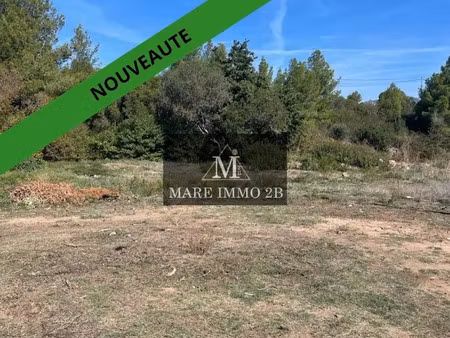 vente terrain 978 m² à calvi (20260)  236 187 €