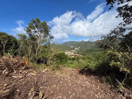 vente terrain 1200 m² à les anses d arlet (97217)  193 200 €