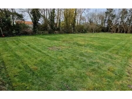 terrain bois-de-céné m² t- à vendre  63 000 €