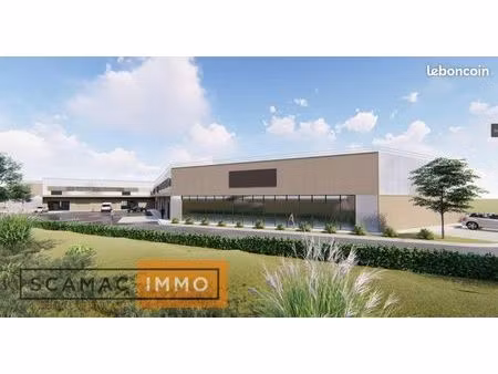 local d'activité 528 m²