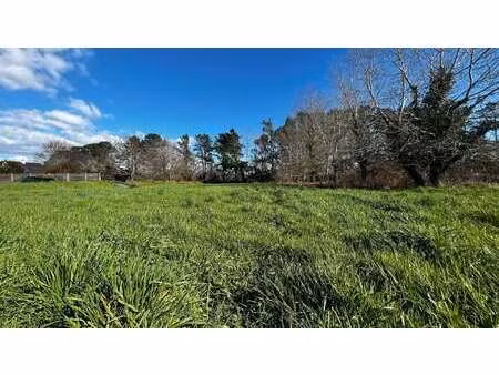 vente terrain à treffiagat (29730) : à vendre / 803m² treffiagat