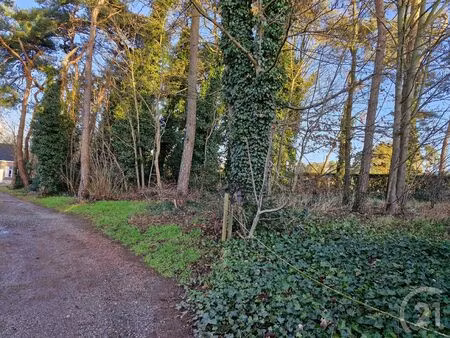 bouwgrond te koop in tremelo!