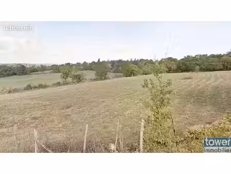 terrain 4444 m² montsalès