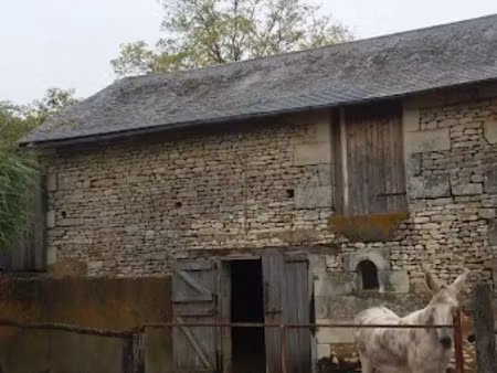 vente maison 7 pièces 245 m² à saint-jean-de-sauves (86330)  238 500 €