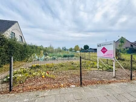 terrain à vendre à bornem € 259.000 (l43sz) - m3 makelaars bornem | zimmo