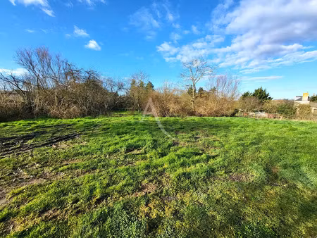 vente terrain 942 m² à bellevigne-en-layon (49750)  62 000 €