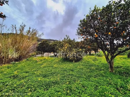 vente terrain 1348 m² à bastia (20200)  245 000 €