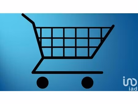 vente boutique/local commercial 65 m²