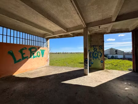 vente immeuble 2000 m² replonges (01750)