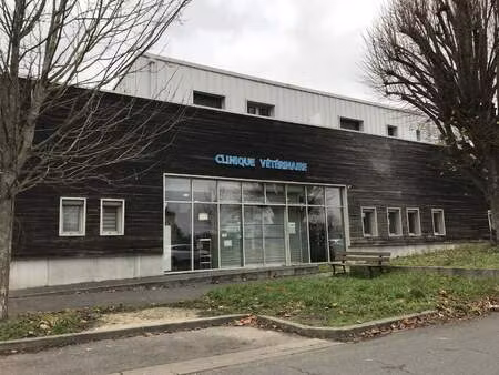 vente commerce 9 pièces 189 m² truyes (37320)