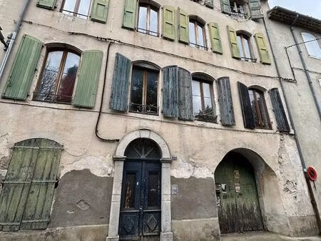 immeuble 265 m² lasalle