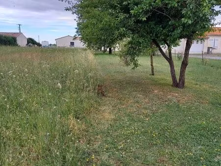 terrain amure 1563 m²