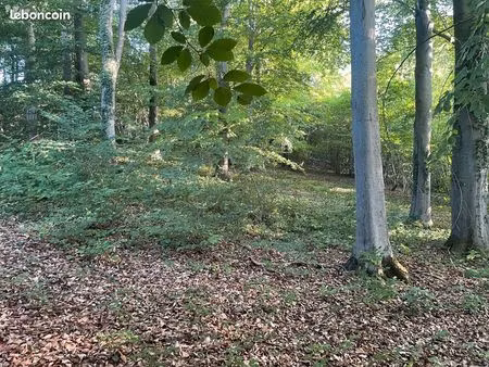 bien agricole 25469 m² revelles